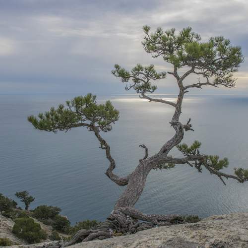 Photo #5561387