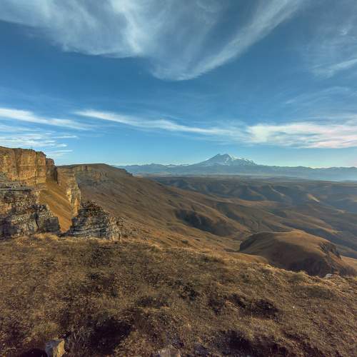 Photo #5561460