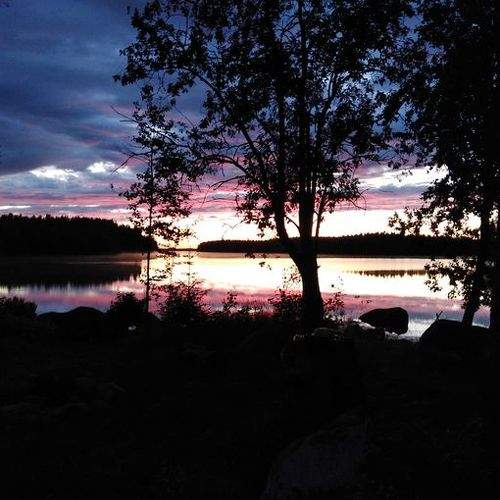 Photo #5561594
