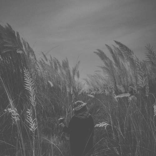 Photo #5561611