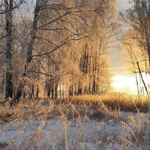 Photo #5561729