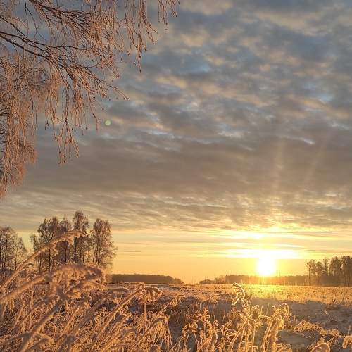 Photo #5561740