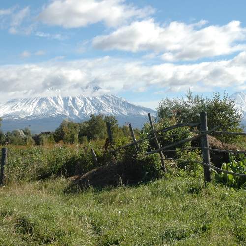 Photo #5561744