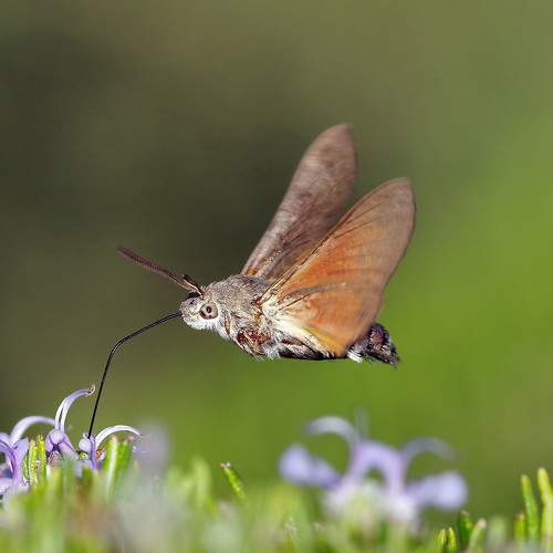 Photo #5562361