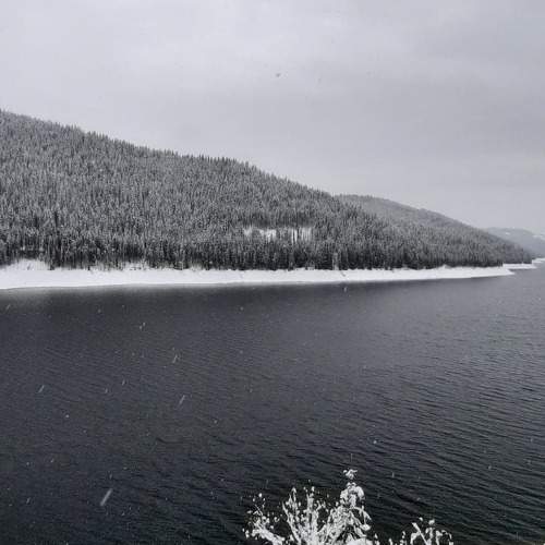 Photo #5563031