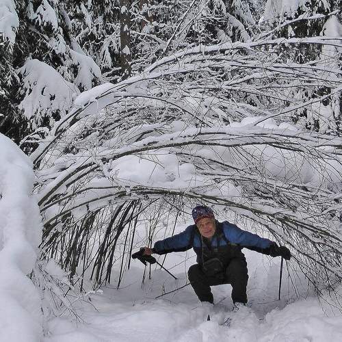 Photo #5563213