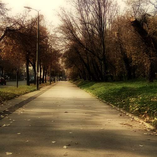 Photo #5563380