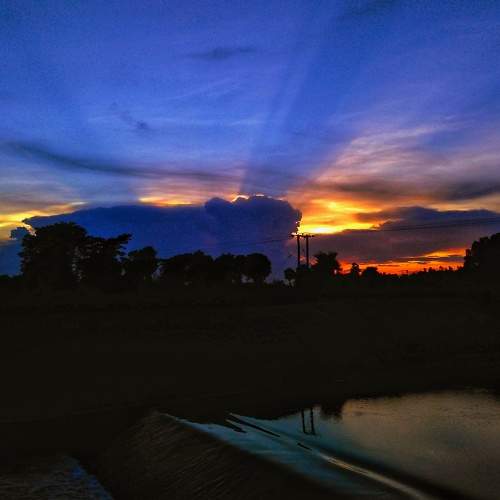 Photo #5563515