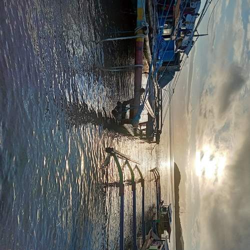 Photo #5563893