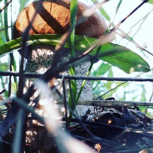 Photo #5563900