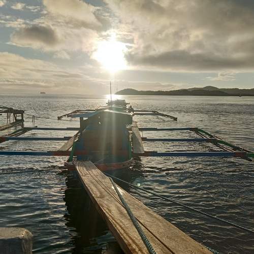 Photo #5563903