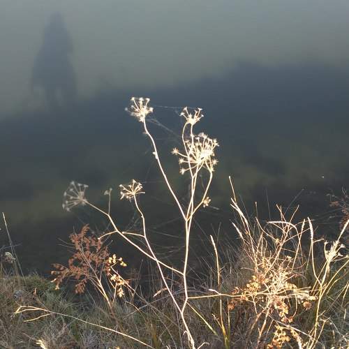 Photo #5564058