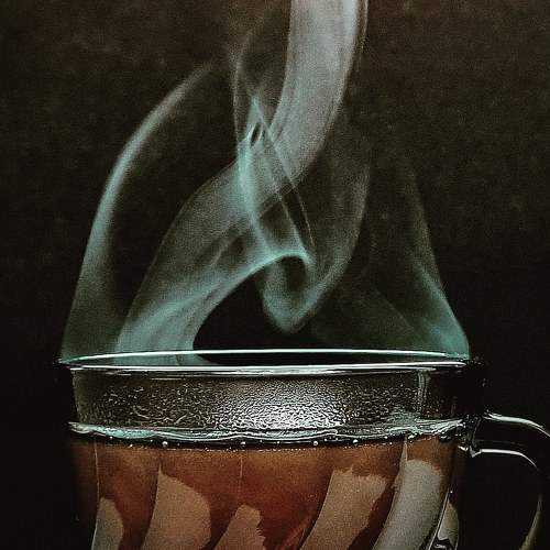 Photo #5564076