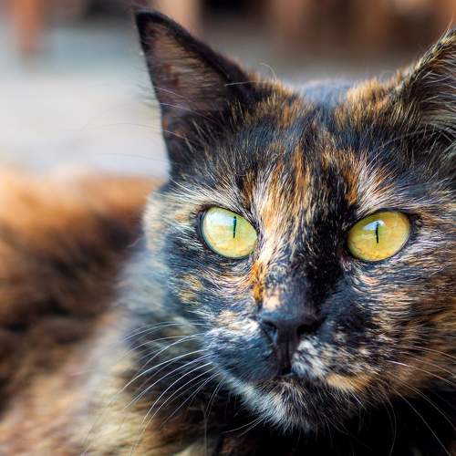 Photo #5564572