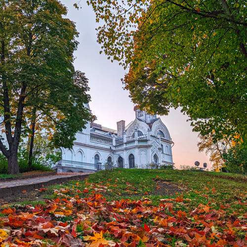 Photo #5564793