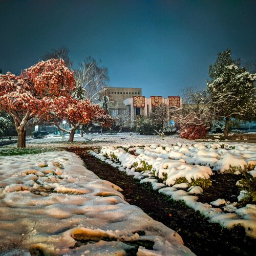 Photo #5564797