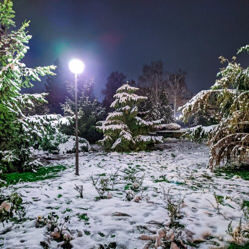 Photo #5564800