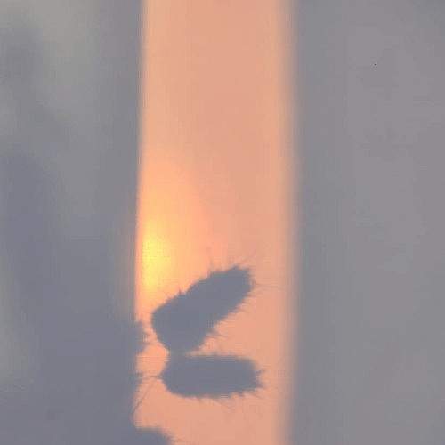 Photo #5564818