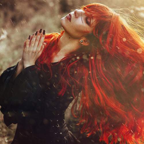 Photo #5564827