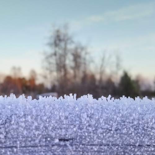 Photo #5564873
