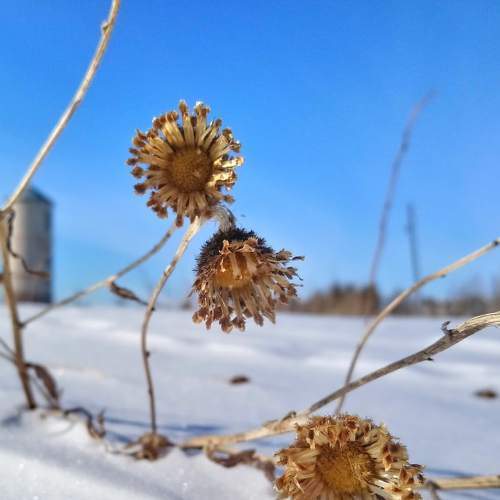 Photo #5564882