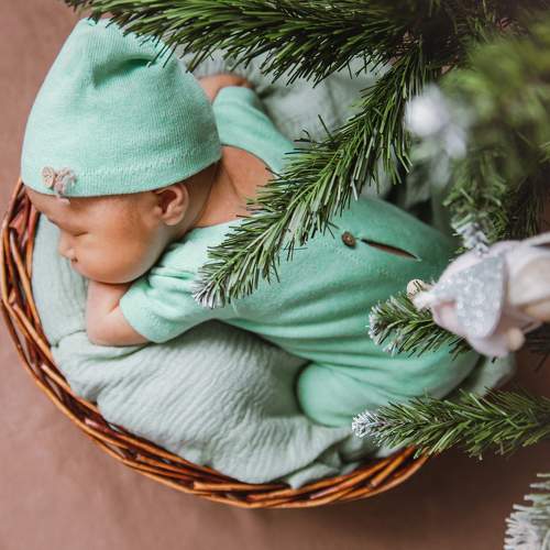 Photo #5564993
