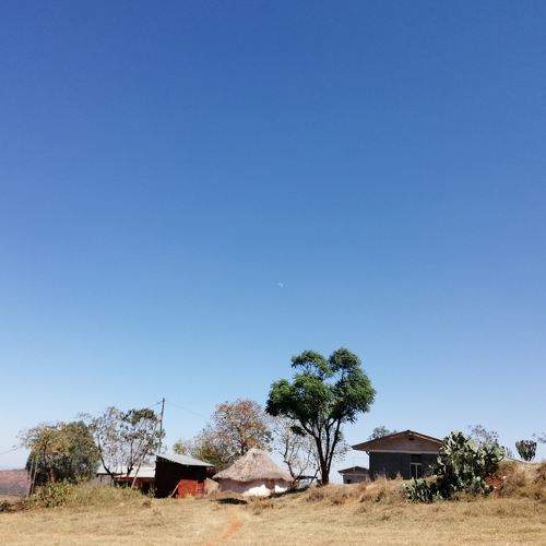 Sky
