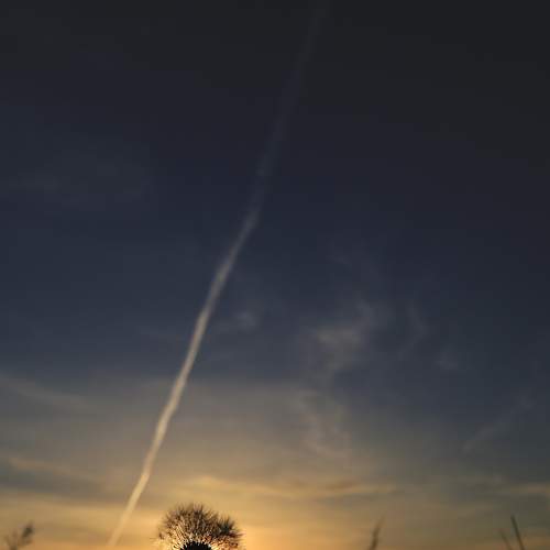 Photo #5565065