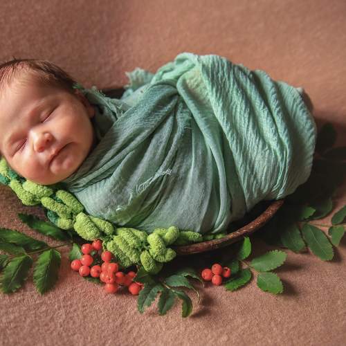 Photo #5565076