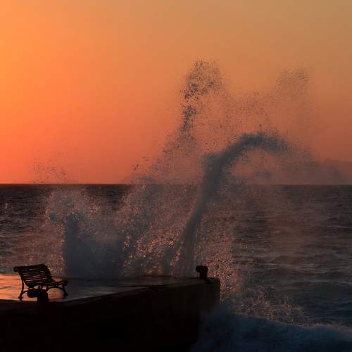 Photo #5565332