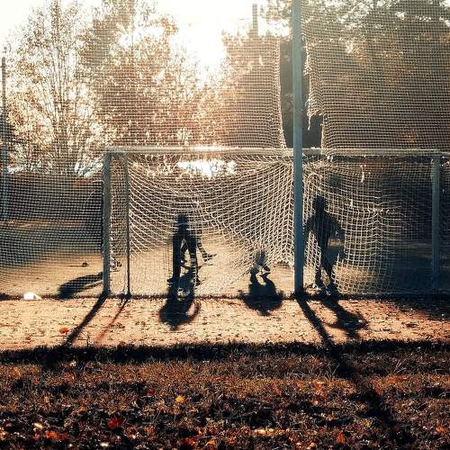 Photo #5565528
