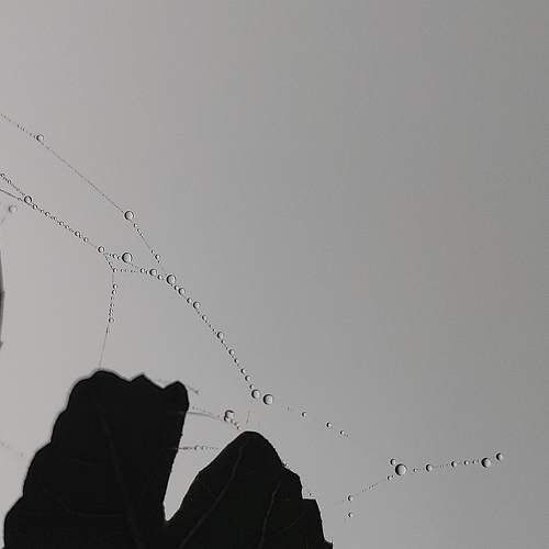 Photo #5565951