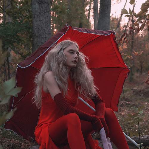 Photo #5566498