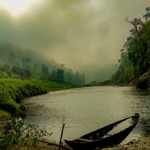 Photo #5566656