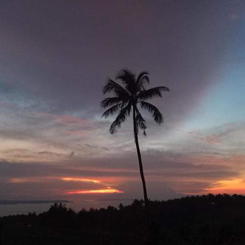 Photo #5566715
