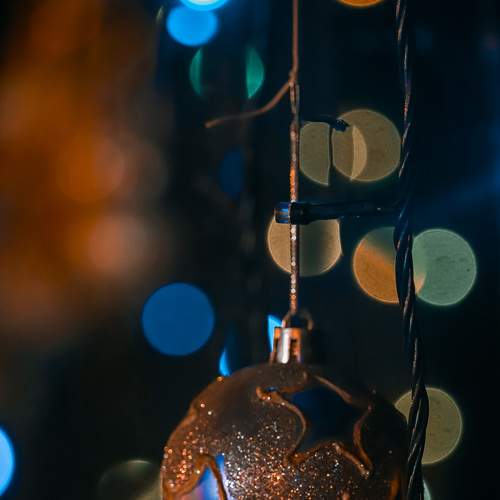 Photo #5566797