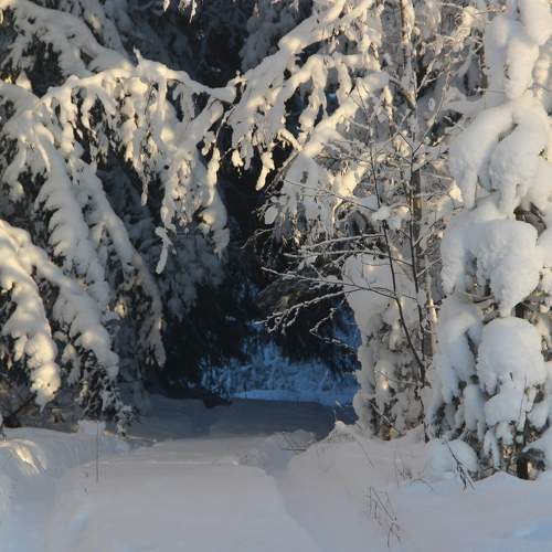 Photo #5566879