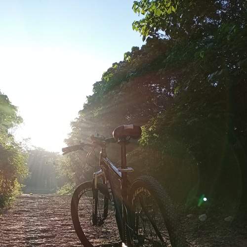 Photo #5567222
