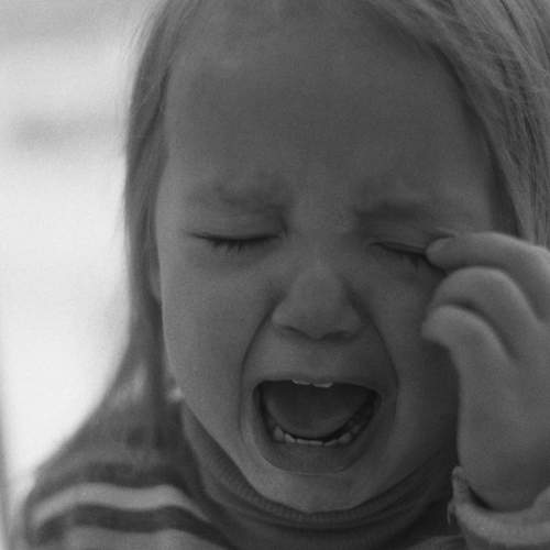 Photo #5567515