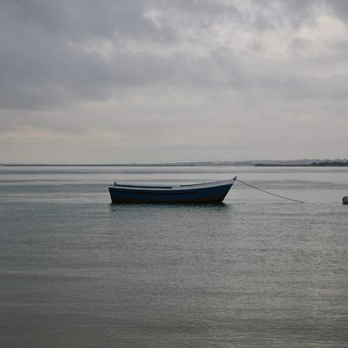 Photo #5567678