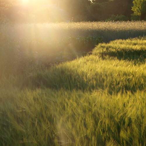 Photo #5567808