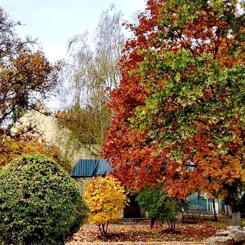 Photo #5568874