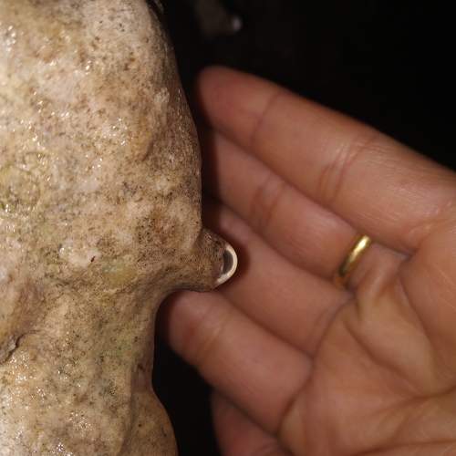 Photo #5568991