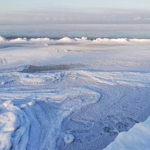 Photo #5569233