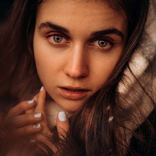 Photo #5569294