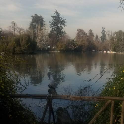 Photo #5569535