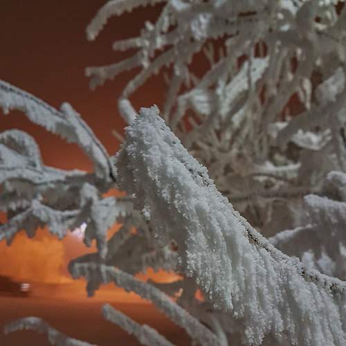 Photo #5569902