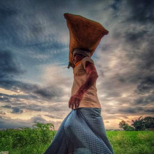 Photo #5570137