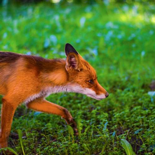 Photo #5570596