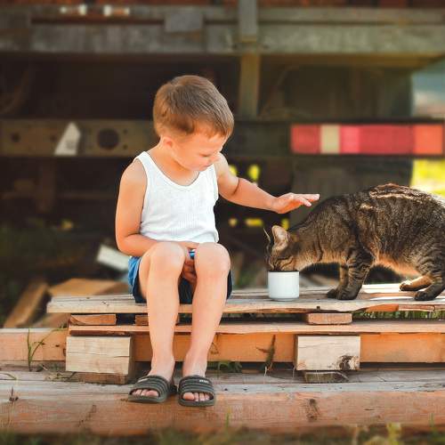 Photo #5570785